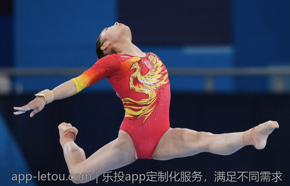 乐投app定制化服务，满足不同需求